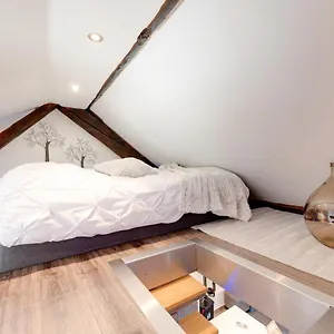 Le Duplex Atypique Et Superbe Appartement Annecy