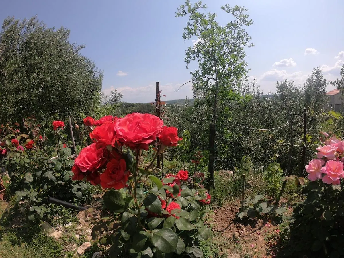 Appartement Apartman Tina Ražanac